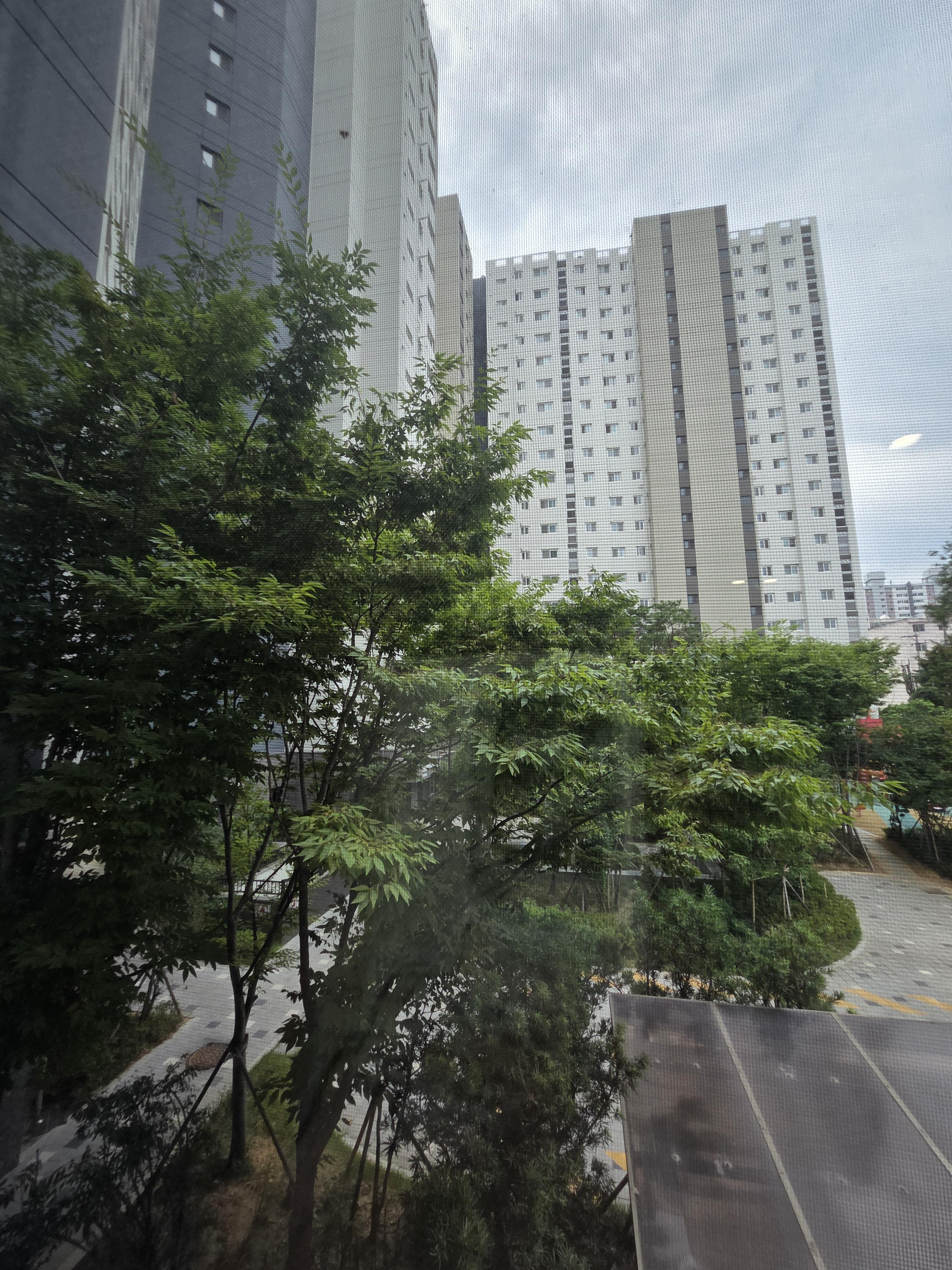방림동 실거주자 사진 2