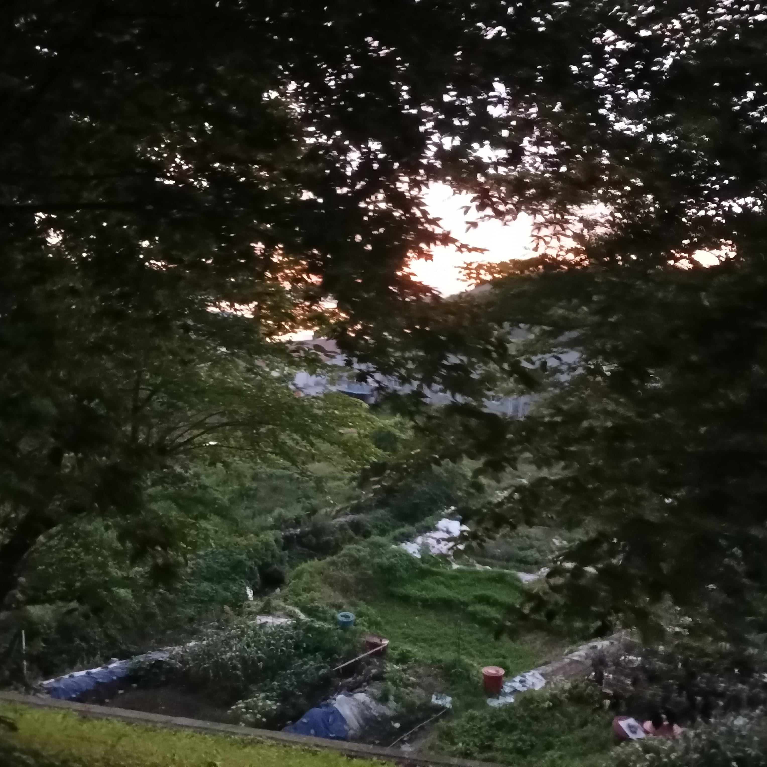 미수동 실거주자 사진 7