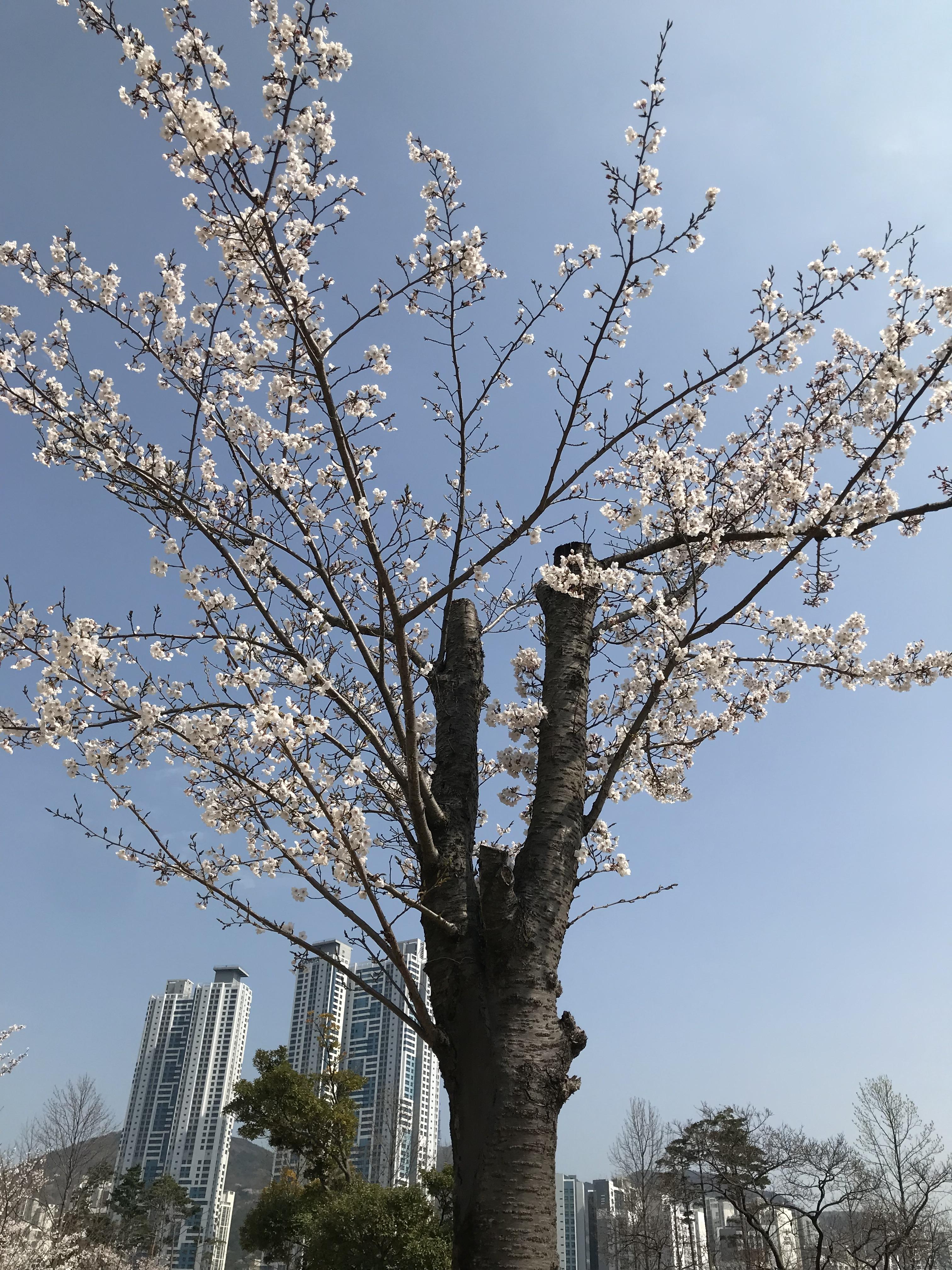 만덕동 실거주자 사진 3