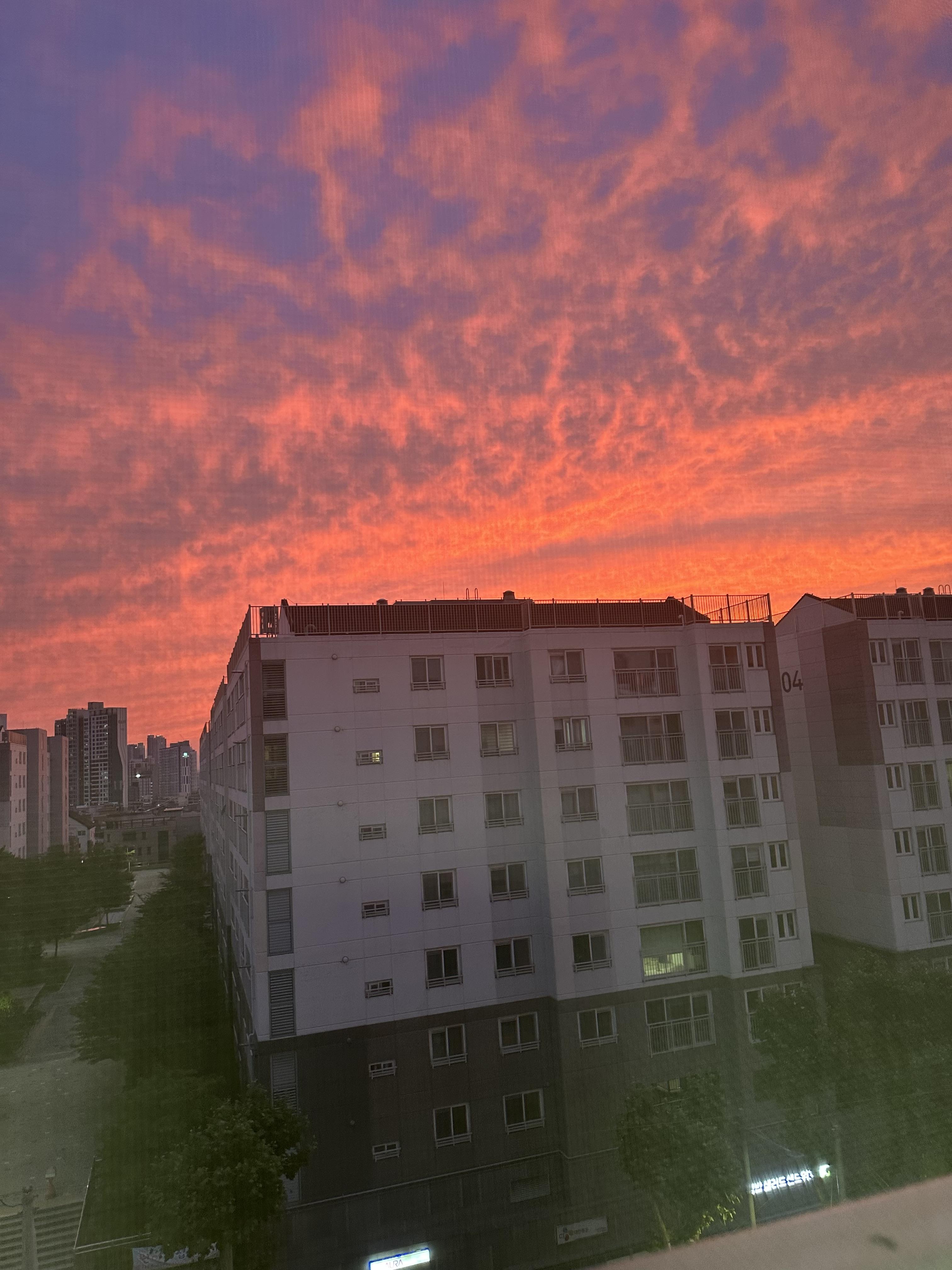 대명동 실거주자 사진 6