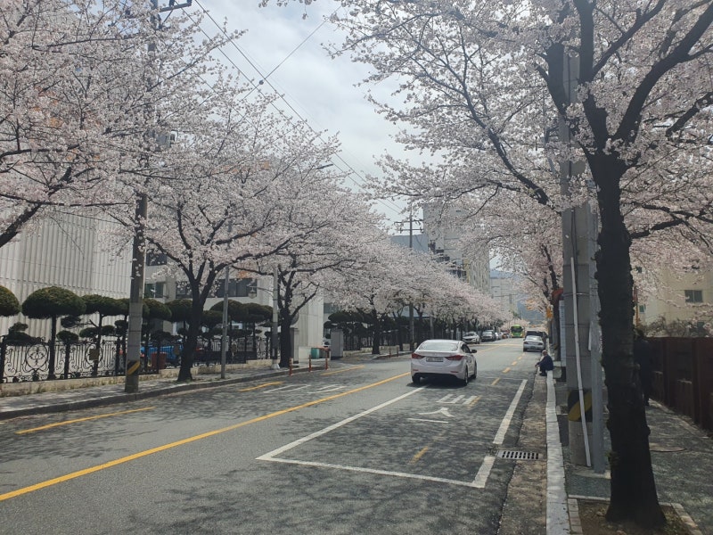 신촌동 실거주자 사진 1