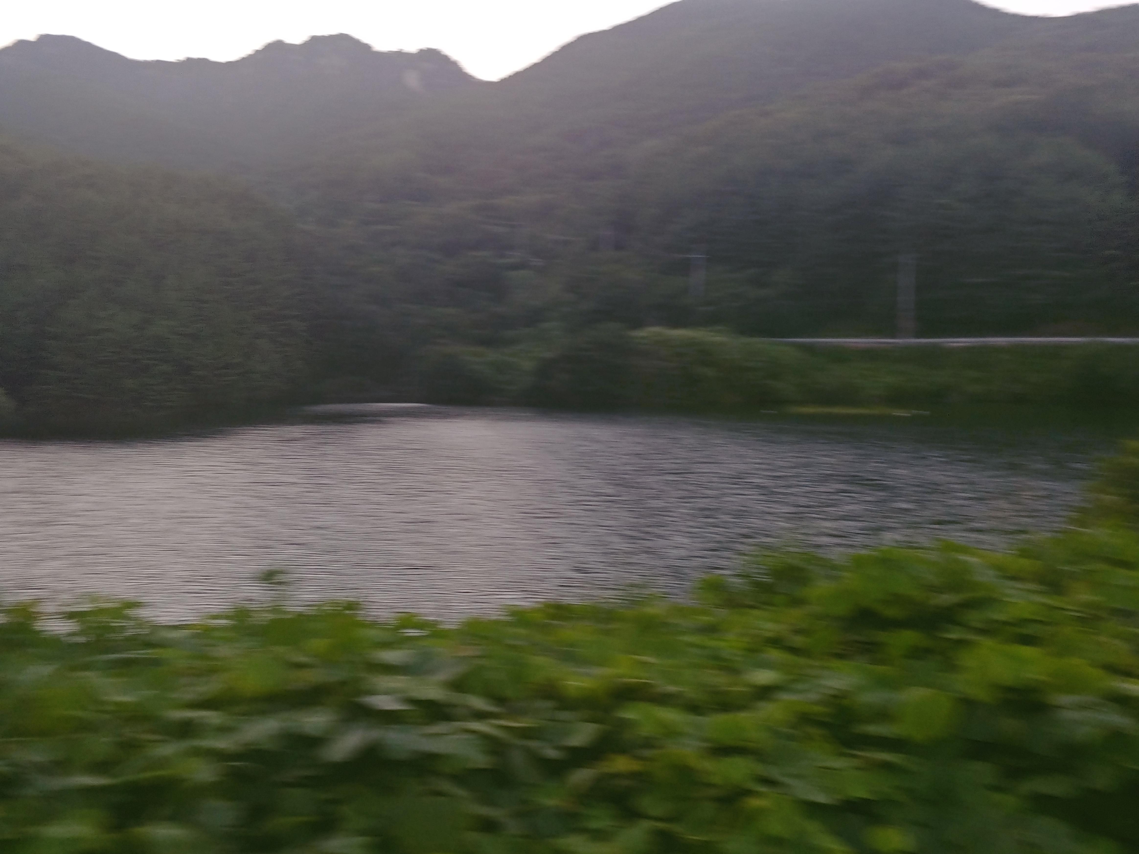 가야면 실거주자 사진 2