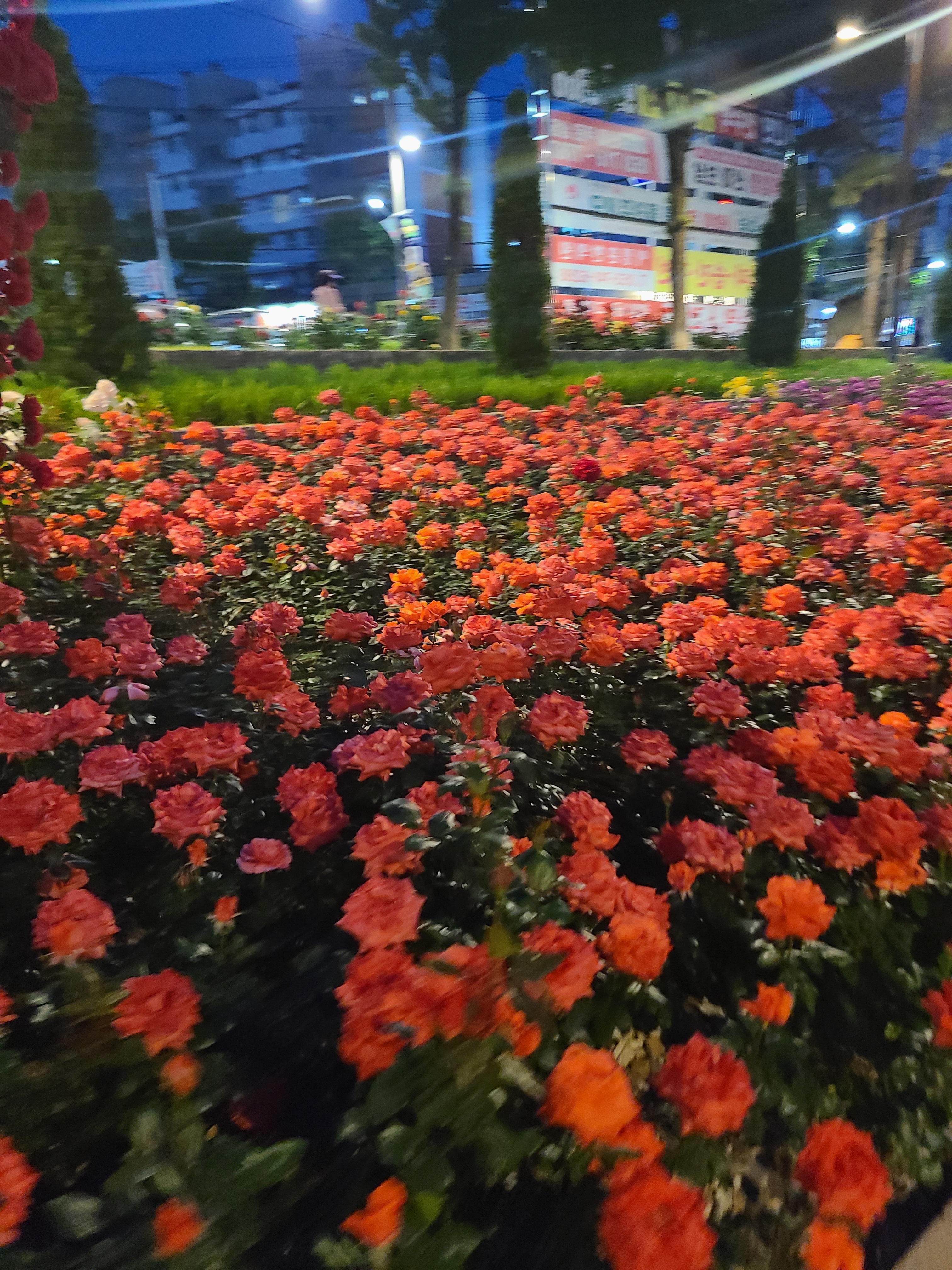 죽전동 실거주자 사진 1