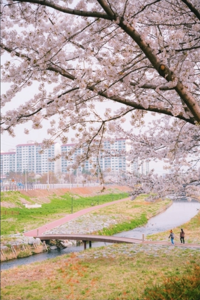 백천동 실거주자 사진 1