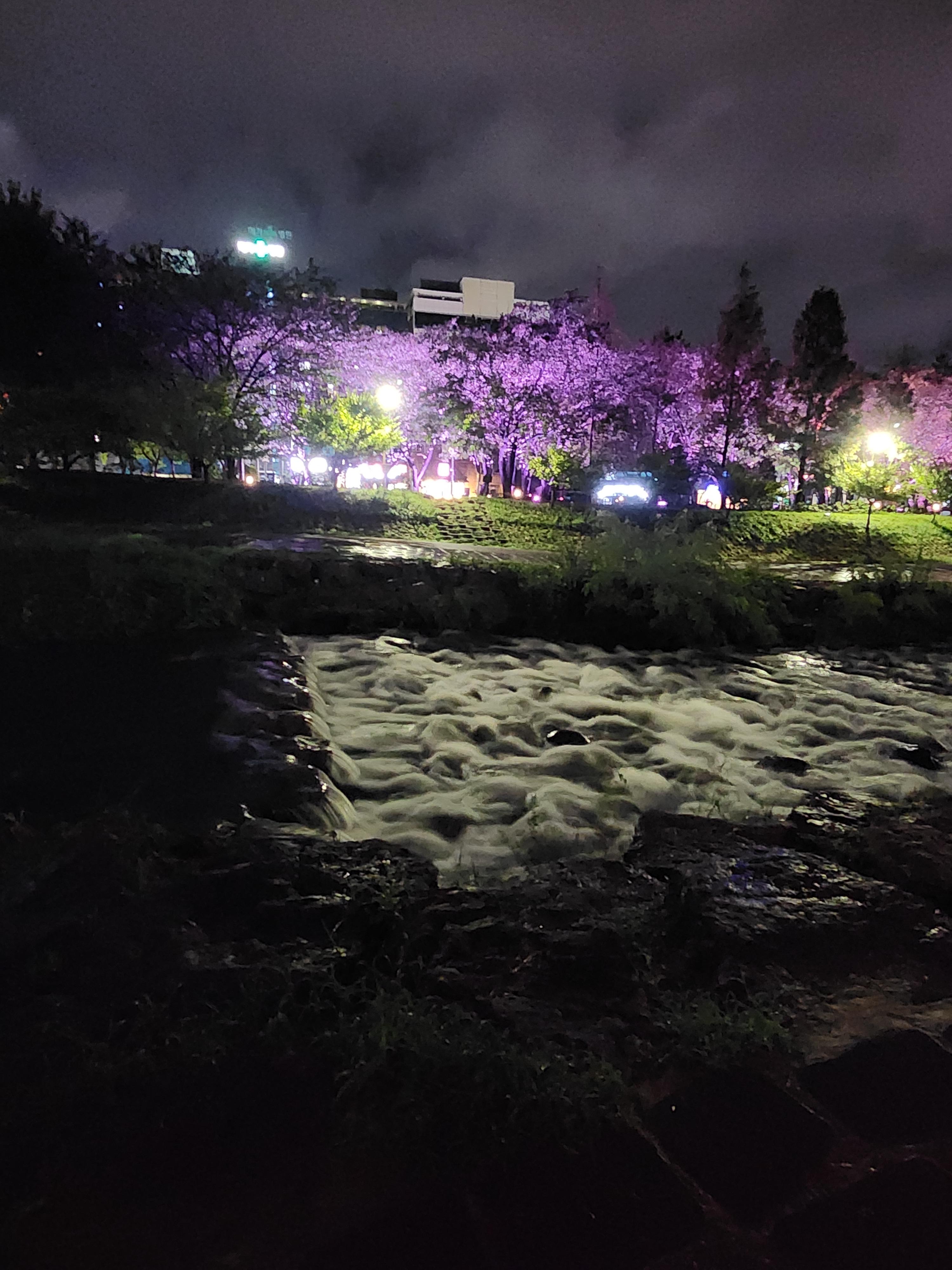 대청동 실거주자 사진 1