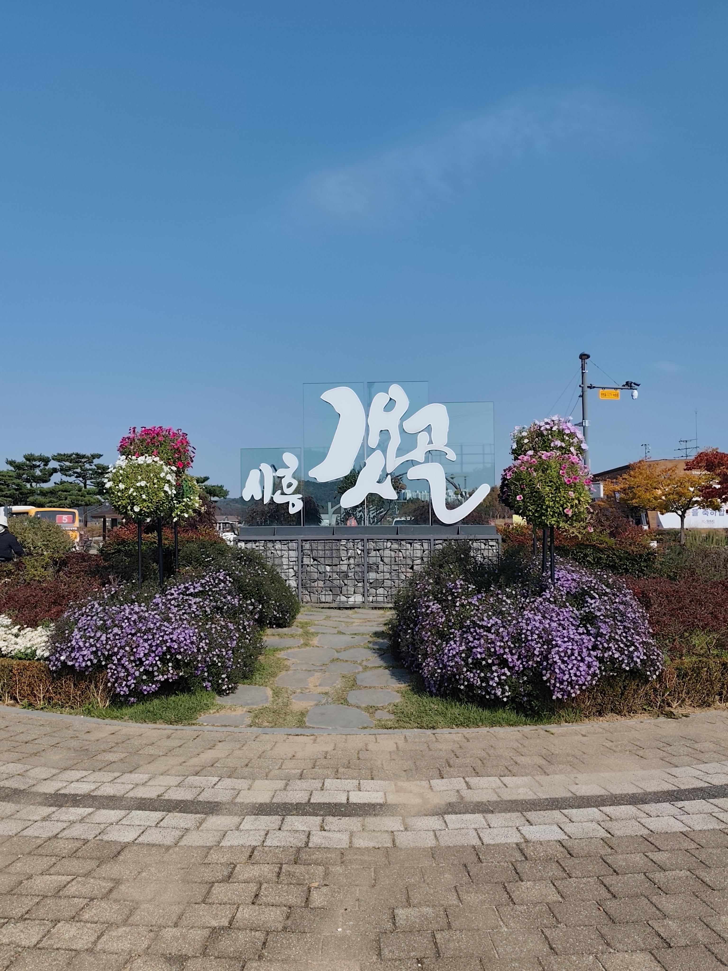 장곡동 실거주자 사진 2