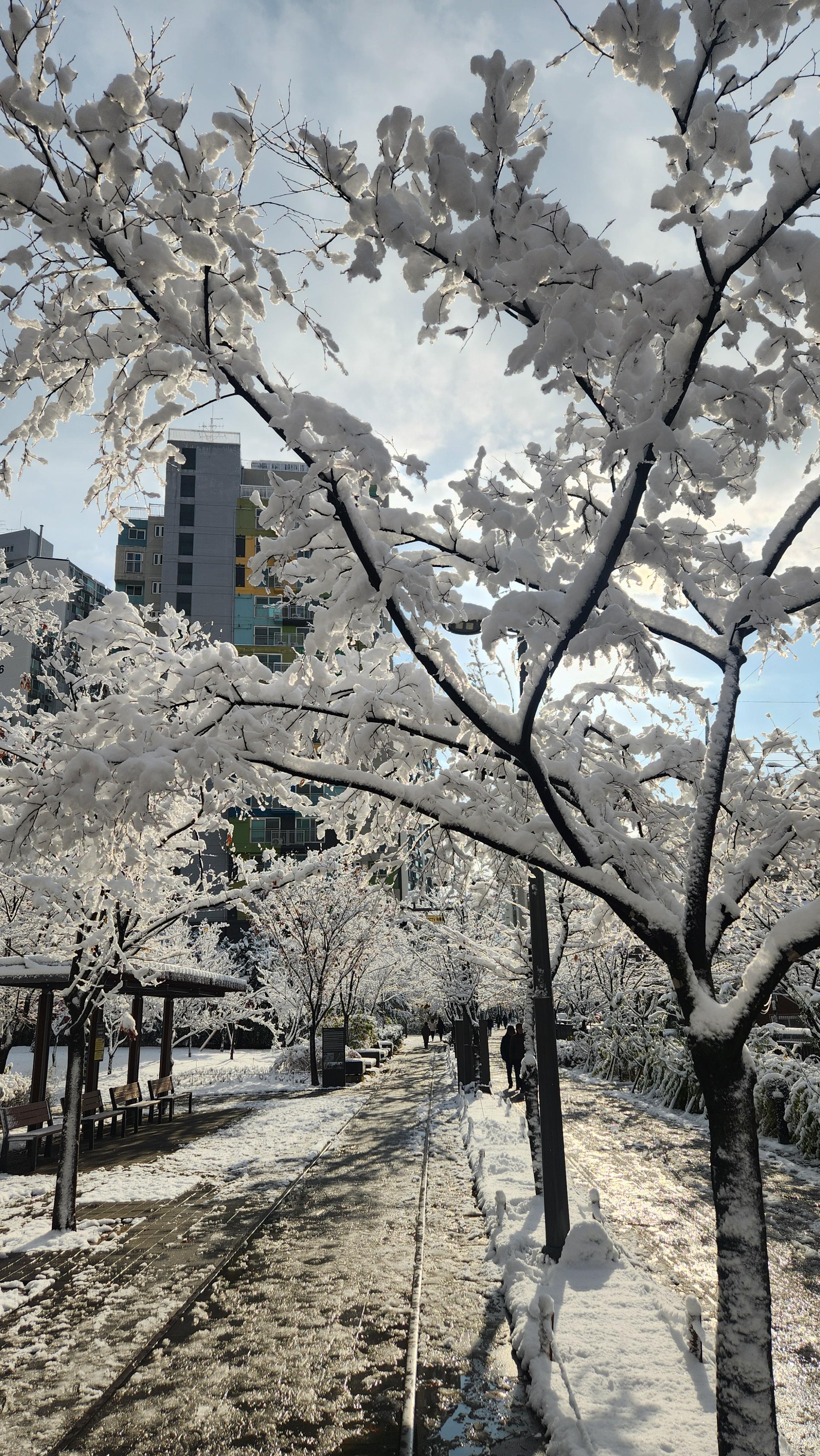 공릉동 실거주자 사진 4