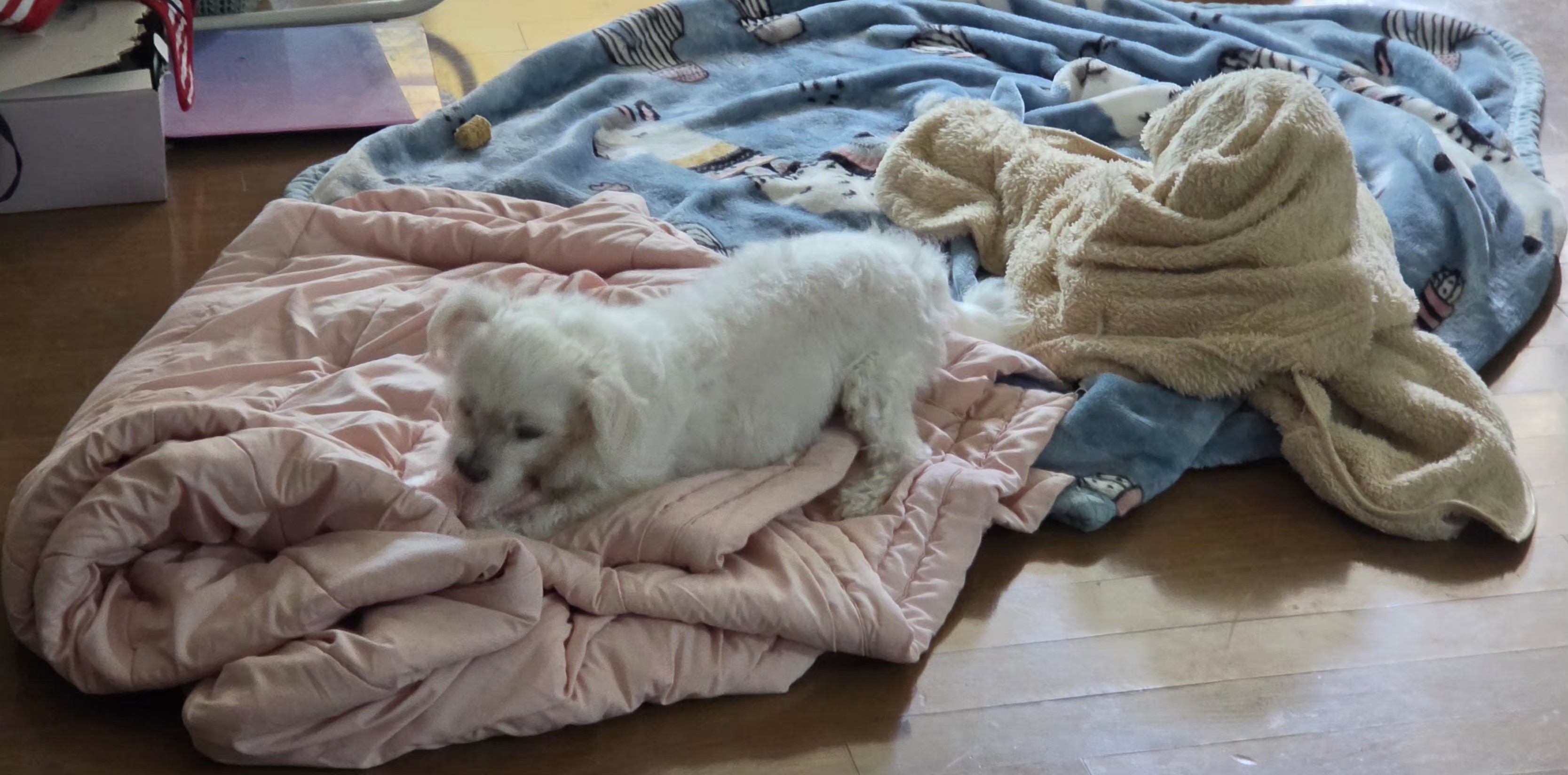 어방동 실거주자 사진 5