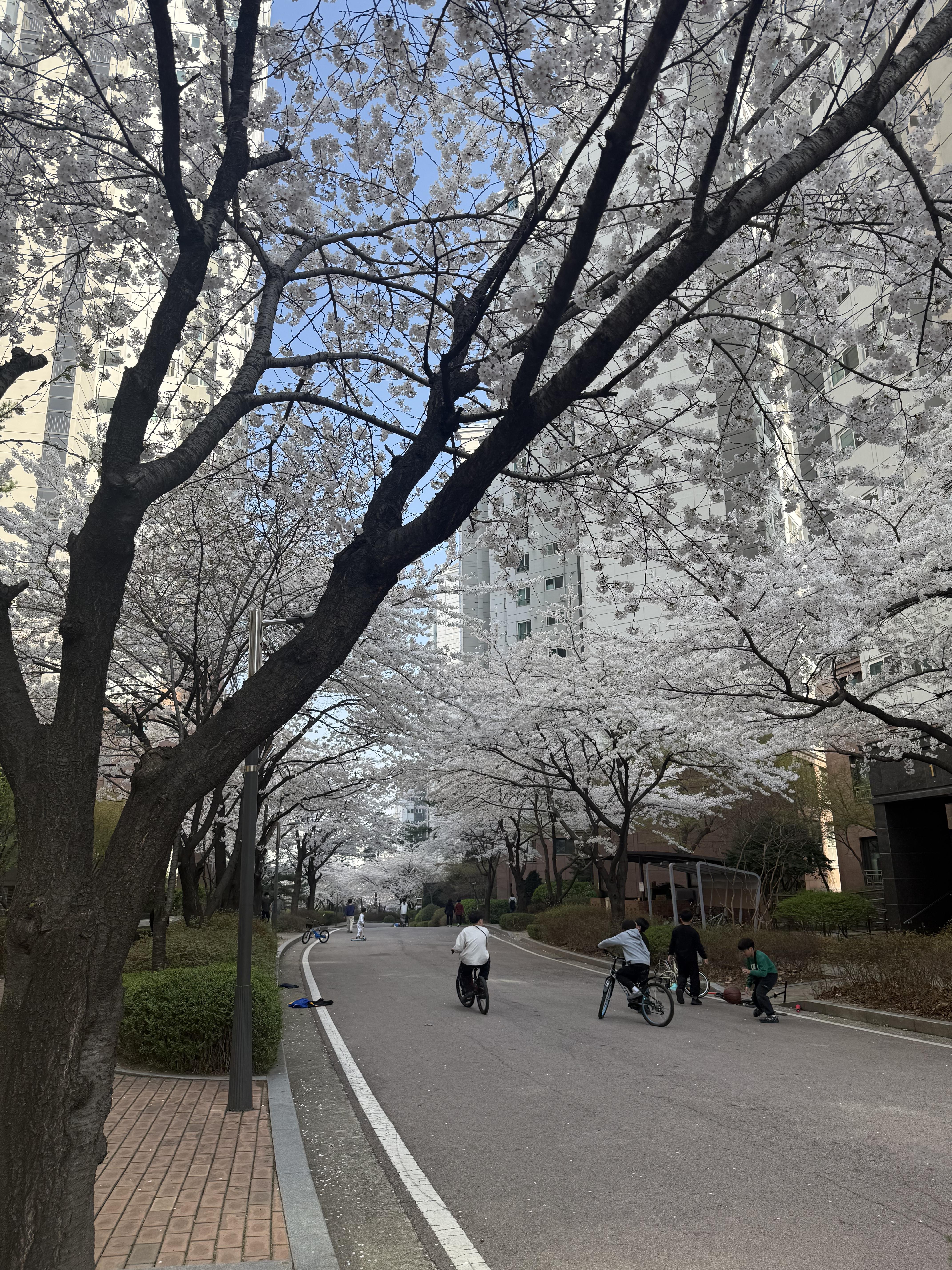 종암동 실거주자 사진 2