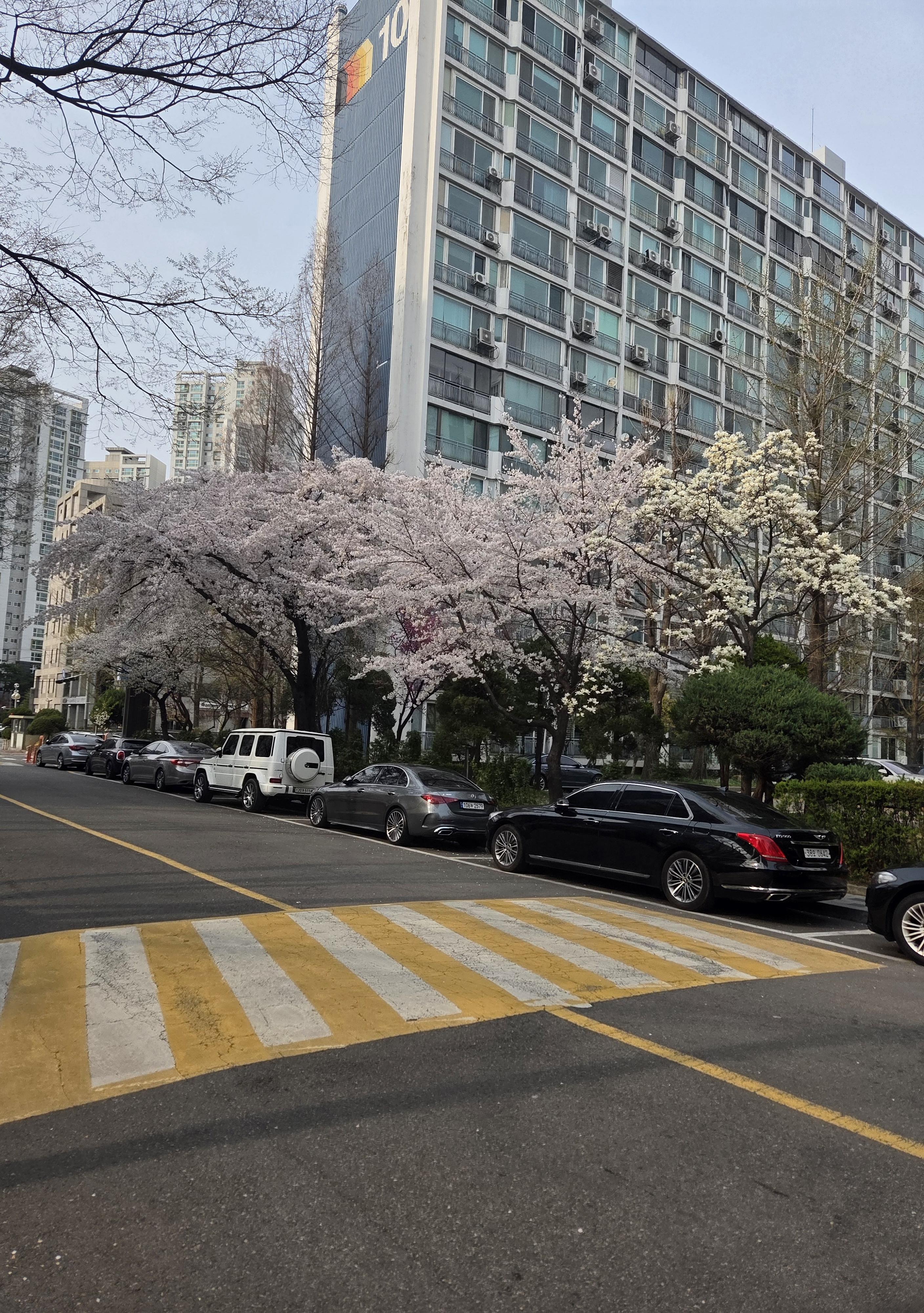 대치동 실거주자 사진 1
