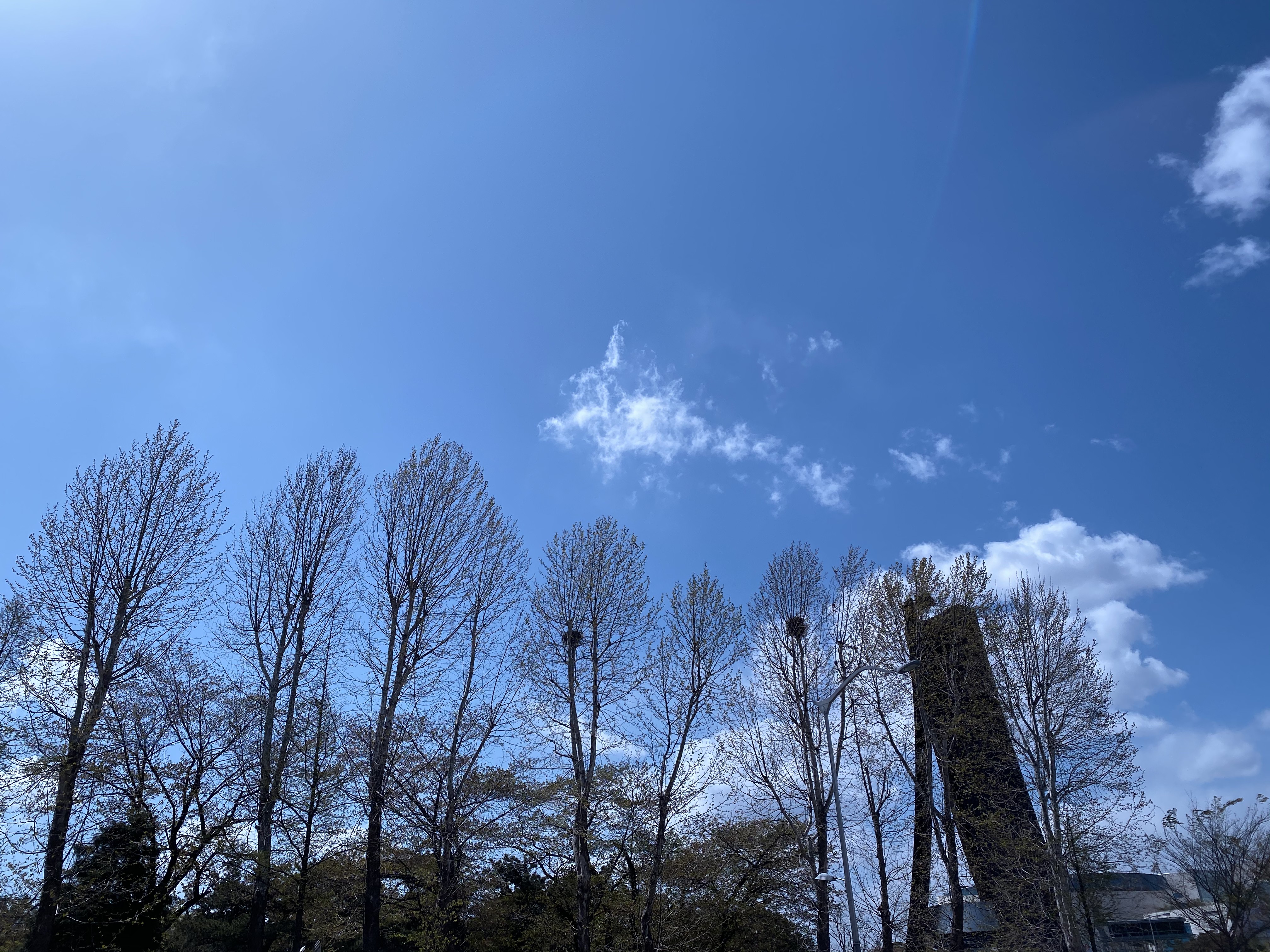 일직동 실거주자 사진 5