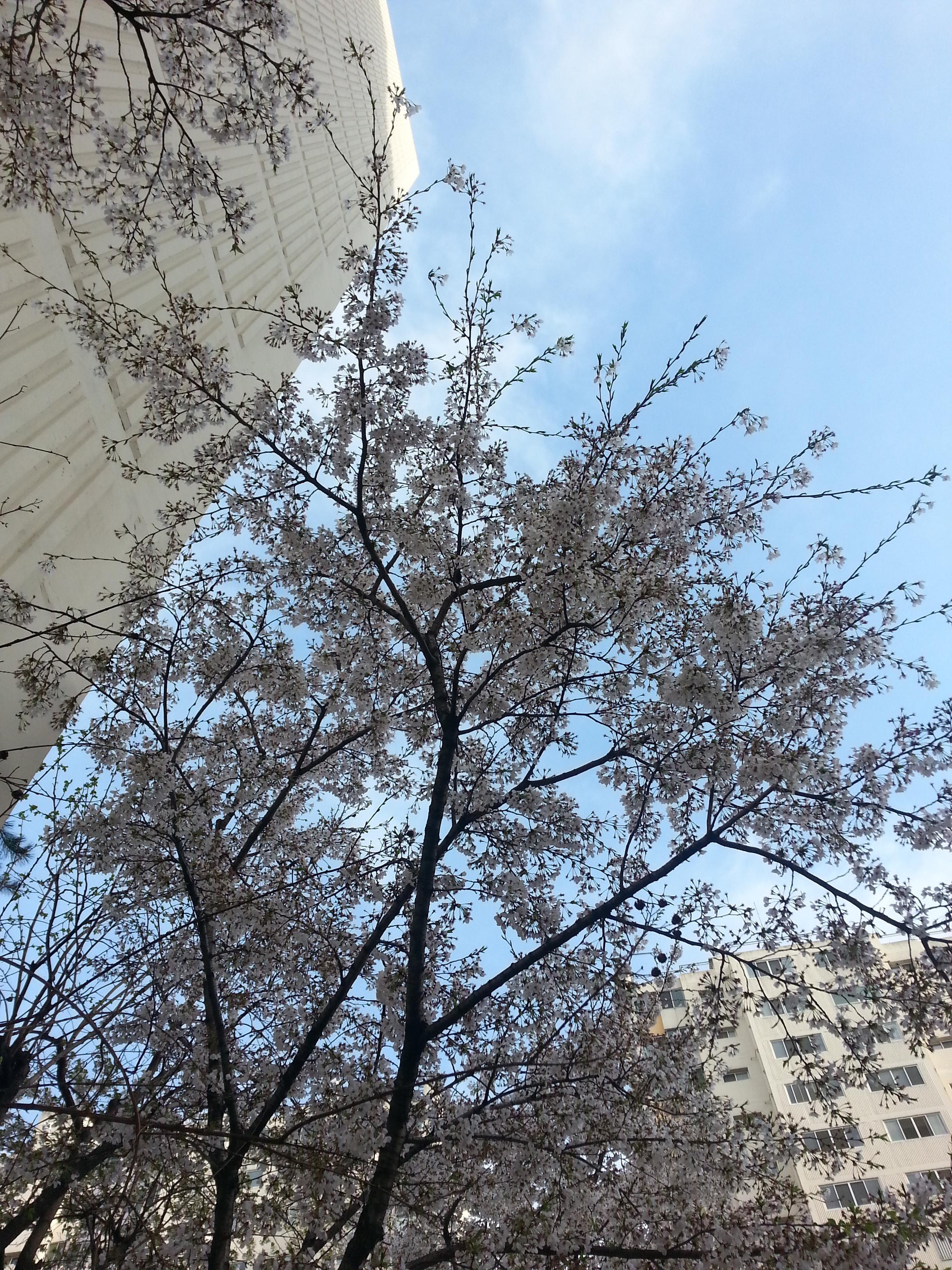 옥산동 실거주자 사진 5