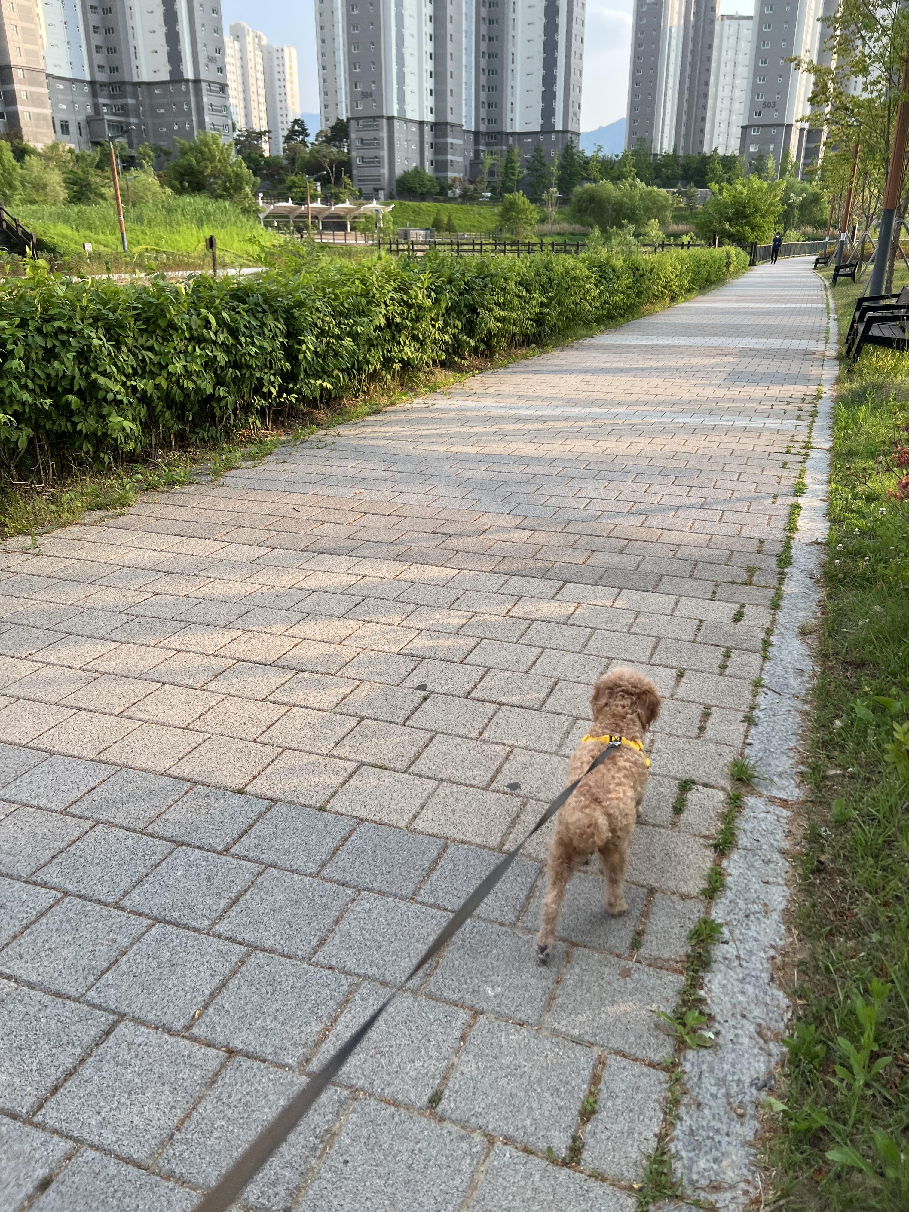 반곡동 실거주자 사진 8