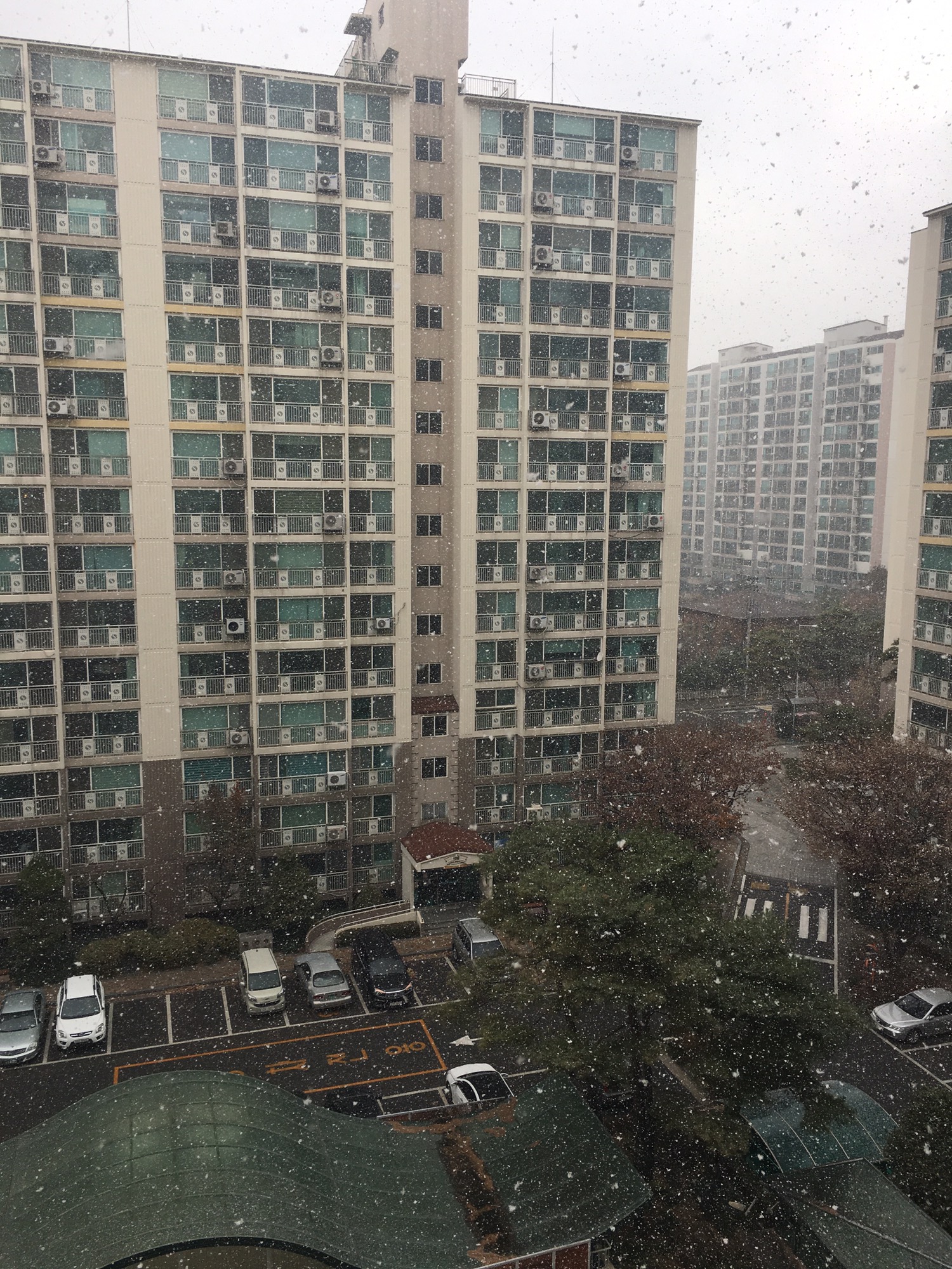 곡반정동 실거주자 사진 7