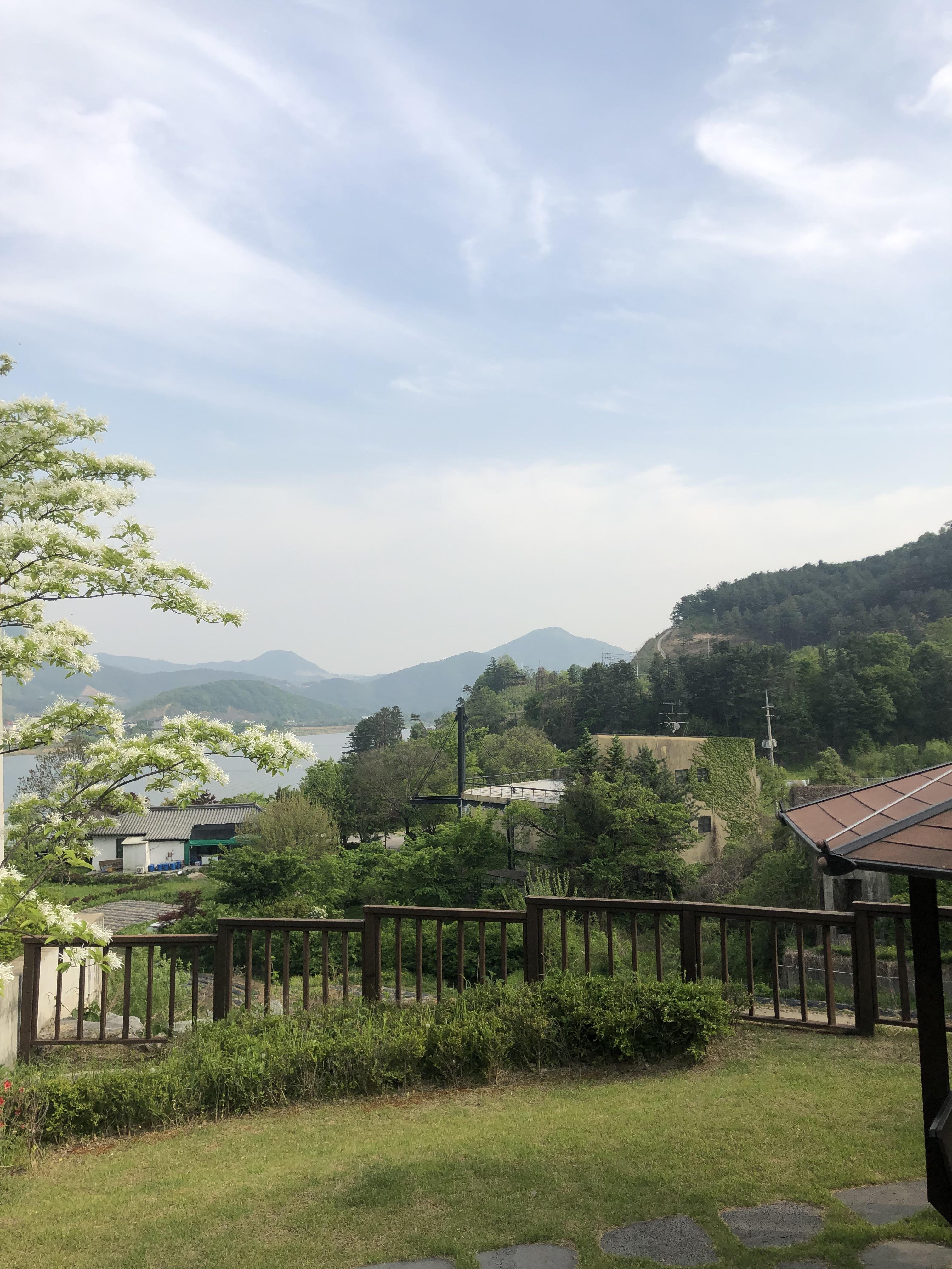 향동동 실거주자 사진 6